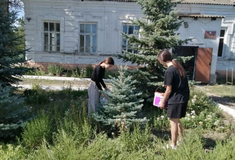 Трудовые будни учащихся 5-9 классов.